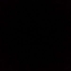 Meet your Posher, Larry